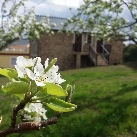 A Palleira 巴雷罗斯