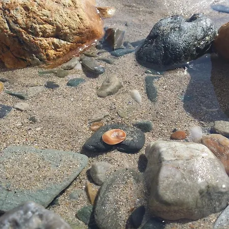 公寓 A Palleira 巴雷罗斯