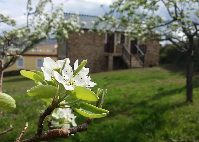 A Palleira バレイロス