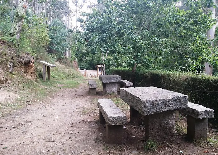 A Palleira バレイロス