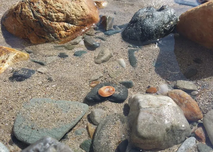 アパート A Palleira バレイロス