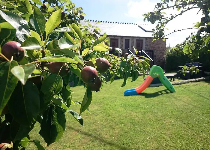 A Palleira バレイロス